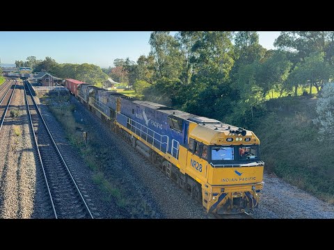 Pacific National’s NR28, NR98 & NR105 with 4BM4 at East Maitland - 8/5/25