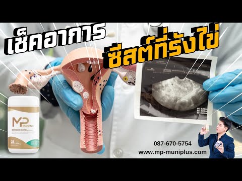 คลิกเพื่อดูคลิปวิดีโอ