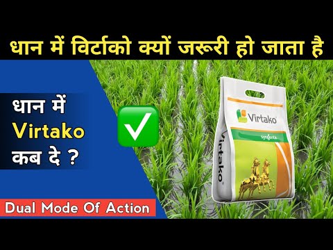 धान और गन्ने की फसल में विर्टाको का इतना ज़रूरी क्यो होता है ? Syngenta Virtako Insecticide | Hindi