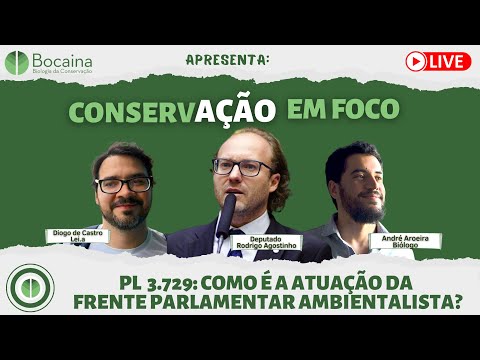 PL 3.729: Como é a atuação da Frente Parlamentar Ambientalista?