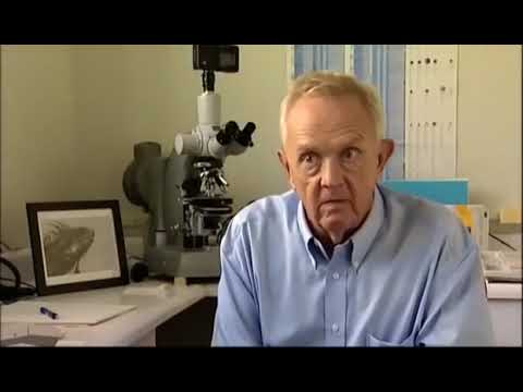 The Origin of HIV Aids The best documentary Channel 4