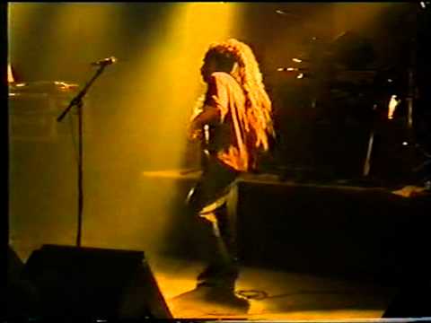 Revolutionary Dub Warriors - Python