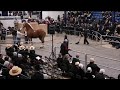 2026 Pa Draft Horse Sale Tues Mare Sale