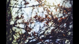 「 FMV 」Spring (봄) - Davichi / #BonLu ❀