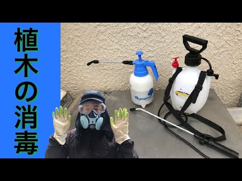 環境にとって危険