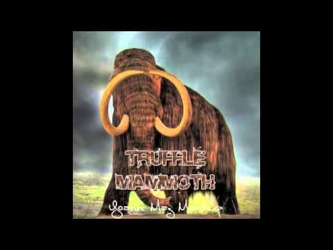 Tommy Trash VS Moguai, Dimitri Vegas & Like Mike - Truffle Mammoth (Yoann Maz MashUp)