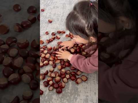 Sinem collected a bag full of horse chestnuts from the school garden 😂 #exploremehighlight #chestnut