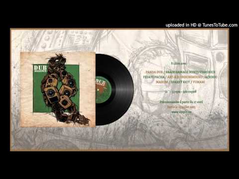 Dub Alliance - Vinyl Compilation [Teaser] - Panda Dub / Ackboo / Mahom and more !