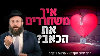 "למה הם עושים לי את זה?" - סוד אחד מהתורה שישחרר אותך מכל האכזבות והכעסים | פרשת ויקהל (הרב יואב אקריש) - התמונה מוצגת ישירות מתוך אתר האינטרנט יוטיוב. זכויות היוצרים בתמונה שייכות ליוצרה. קישור קרדיט למקור התוכן נמצא בתוך דף הסרטון