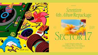 EXO &amp; SEVENTEEN - Power (R3HAB REMIX) X Fallin&#39; Flower (Korean Ver.) Mashup