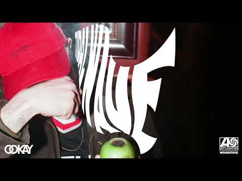 Video thumbnail for Tidal Wave (Ookay Remix)
