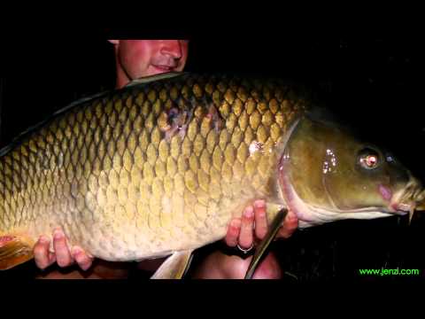 JENZI 2015 - Die C-1 geht krumm - auf Sommerkarpfen am See (full-hd)