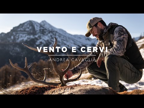 Mountain Hunters 4 | Red deer in the wind