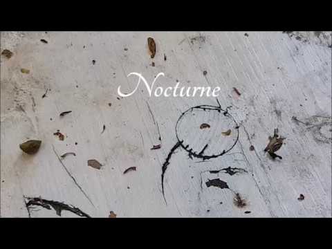 Matthias Ebbinghaus - Nocturne