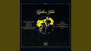 Cover art for Flickorna på TV2