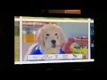 Super Buddies 2013 DVD Menu Walkthrough