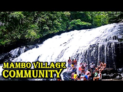 Talk To The Camera - Mambo Village Community - Sierra Network