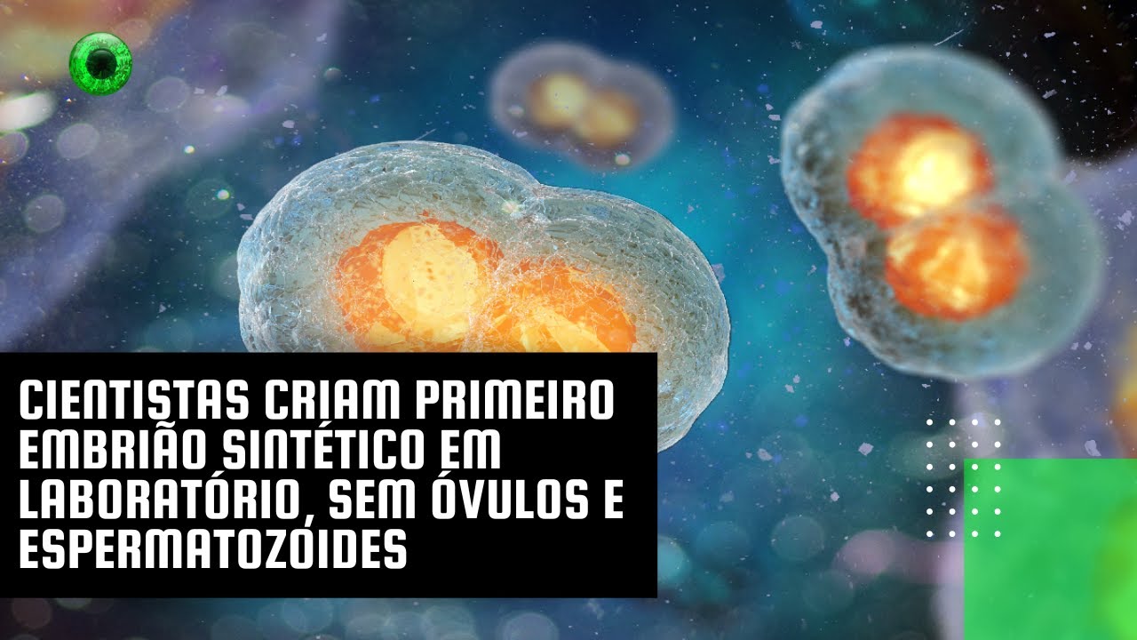 Cientistas criam primeiro embrião sintético em laboratório, sem óvulos e espermatozoides