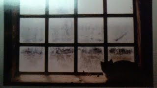 HARALD WEISS (because Carm asked for it).....