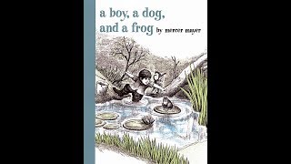 A Boy, a Dog, and a Frog (1981) Video