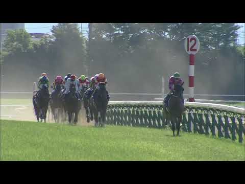 2018 Yushun Himba (Japanese Oaks) (G1)