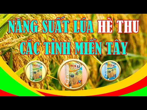CHƯƠNG TRÌNH TRI ÂN BÀ CON NÔNG DÂN CỦA CÔNG TY PHÂN BÓN ĐẠI NGHĨA| Ưu đãi ở cuối video