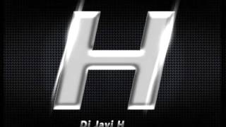 Naughty By Nature Flags (Javi H Remix)