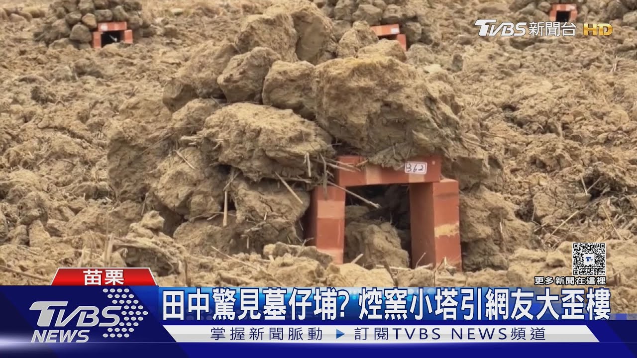 放眼望去超壯觀!苗栗田間「一座座小塔」嚇壞網友 內行秒懂了