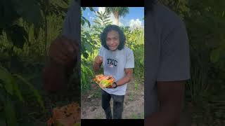 Muitas Sementes Lançadas e Poucas Dão Frutos #experimento #biologia #amor #educação #ciência