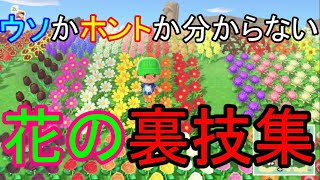あつまれどうぶつの森　ウソかホントか分からない花の裏技集！！