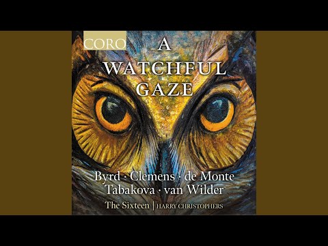 O suavitas et dulcedo