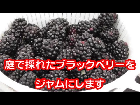 自分だけのブラックベリージャムを作る: これが仕組みです ライフスタイル