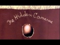 The Hidden Cameras-Ban Marriage