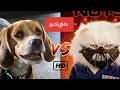 Cats And Dogs TAMIL DUBBED FUNNY