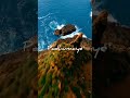 Imaiyil Irukkum Iravu Urakkam ️ Whatsapp Status Love Trending ️