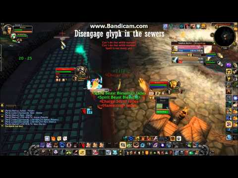 MalivaHunter - Tips and Tricks in arena