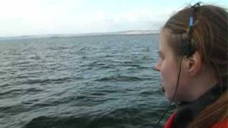 Dolphin Communciation