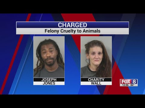 2 charged after dead dogs found at Randolph Co. home