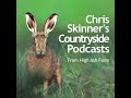 Episode 2 38 Nocturnal Flights And Honeyed Hives