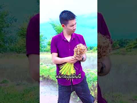 วิธี