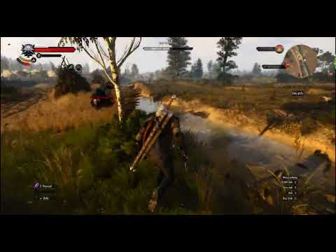 Witcher 3: Royal Griffin Boss Fight Will Blow your Mind RTX 4090 8K HDR