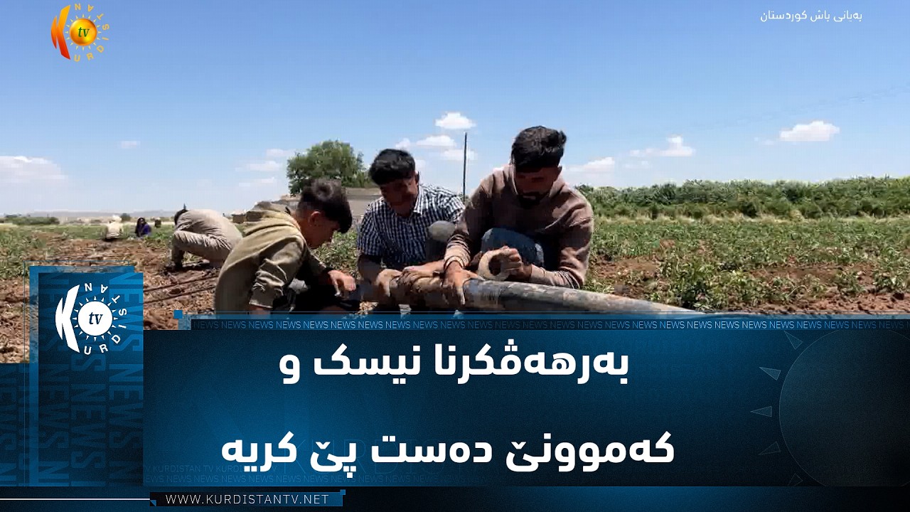 ڤیدیۆ | ل کۆبانێ و گوندەوارێن وێ دە دەمسالا بەرهەڤکرنا نیسک و کەموونێ دەست پێ کریە