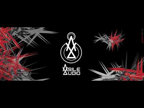 asile audio 02 -offset zik- Puk