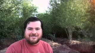 RAISE THE RIVER - Report from the Field, July 22 2015