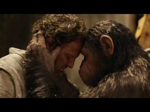 Planeta majmuna: Rat / Džejn Gudal video "Saosećanje"