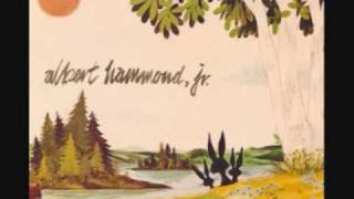 Albert Hammond Jr - Scared  (plus lyrics)