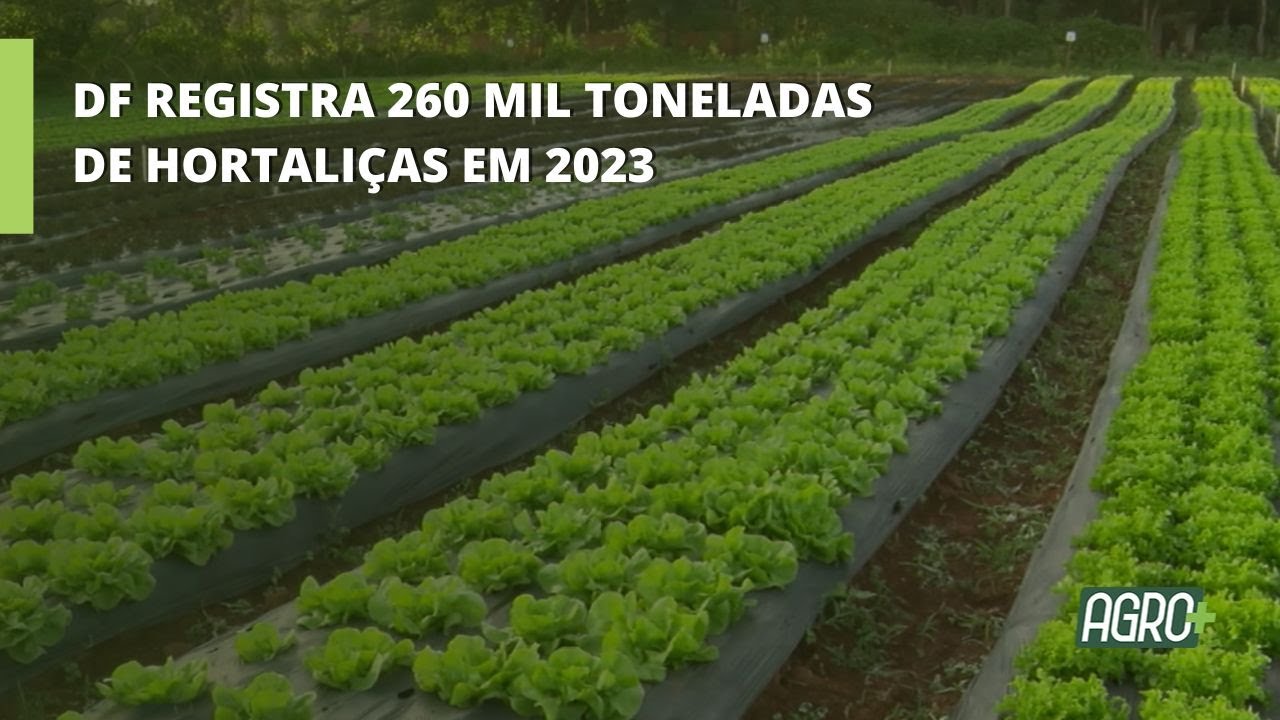 Hortaliças, Pilar da Alimentação Saudável e da Economia do DF
