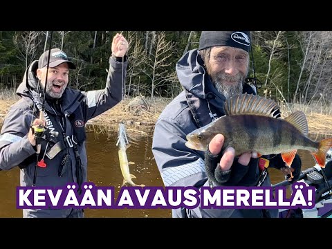 Kauden avaus merellä • Ahvenen ja hauen kalastusta • Uusi vene testissä • MAX 48 katamaraanivene