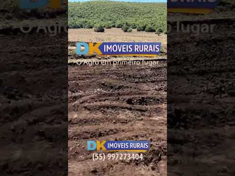 Fazendas à Venda no RS | Oportunidades em Ijuí, Bagé, Rosário do Sul, Cacequi e Alegrete