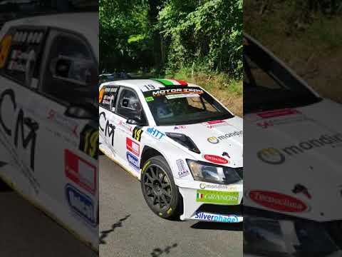 rally alpi orientali 2021 *shakedown* Skoda Fabia r5* sound 🔥